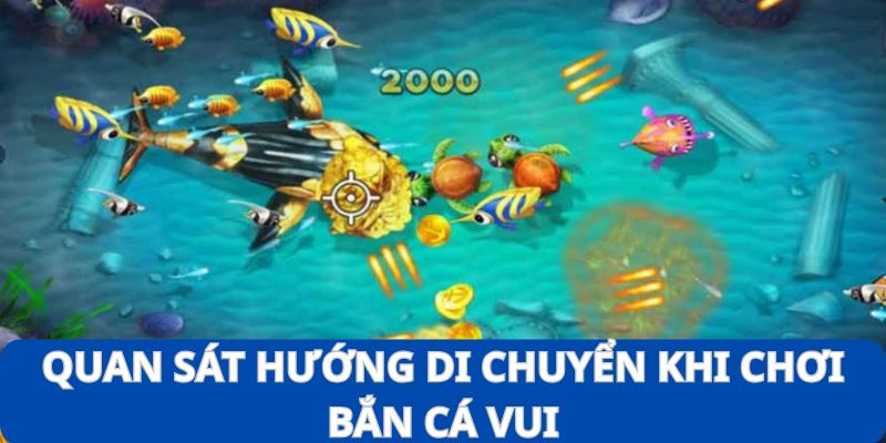 Quan sát kỹ xu hướng di chuyển của cá để đưa ra chiến thuật đi săn phù hợp