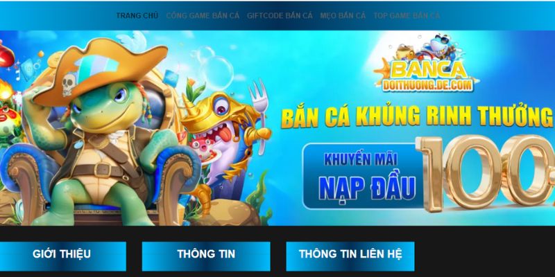 Điểm danh các chuyên mục nổi bật của website