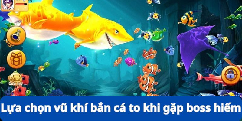 Lựa chọn vũ khí bắn cá to khi gặp mục tiêu hiếm